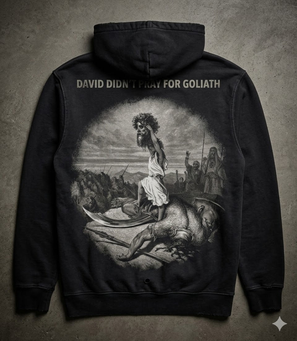 DAVID DIDN'T HOODIE