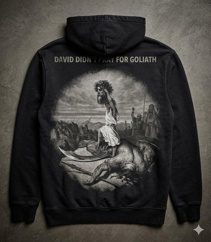 DAVID DIDN'T HOODIE